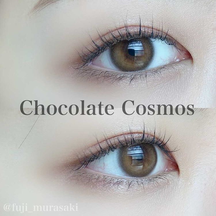 チョコレートコスモス装着画像6