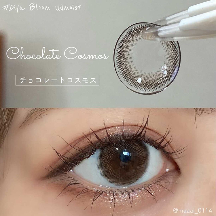 チョコレートコスモス装着画像9
