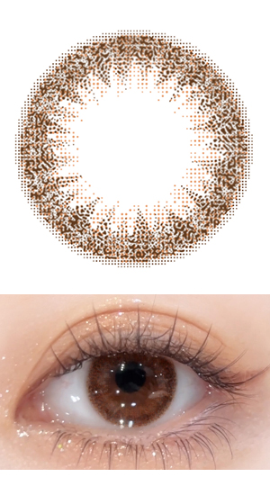 デイリーブラウン