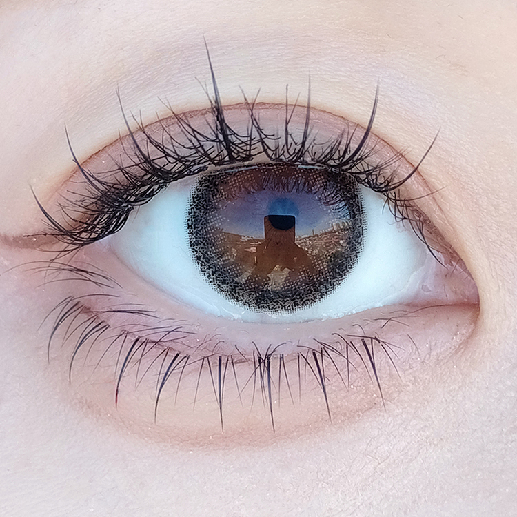 デイリーブラック