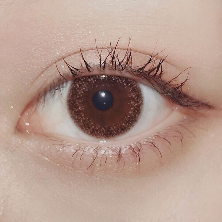 デイリーブラウン装着画像10