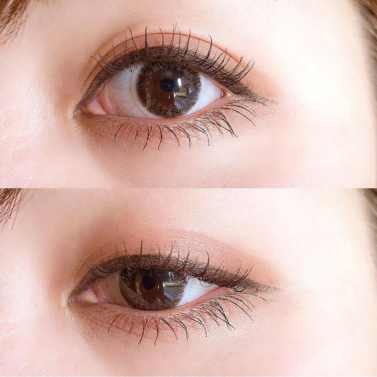 デイリーブラウン装着画像12