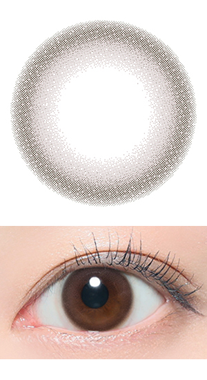 サークルブラウン