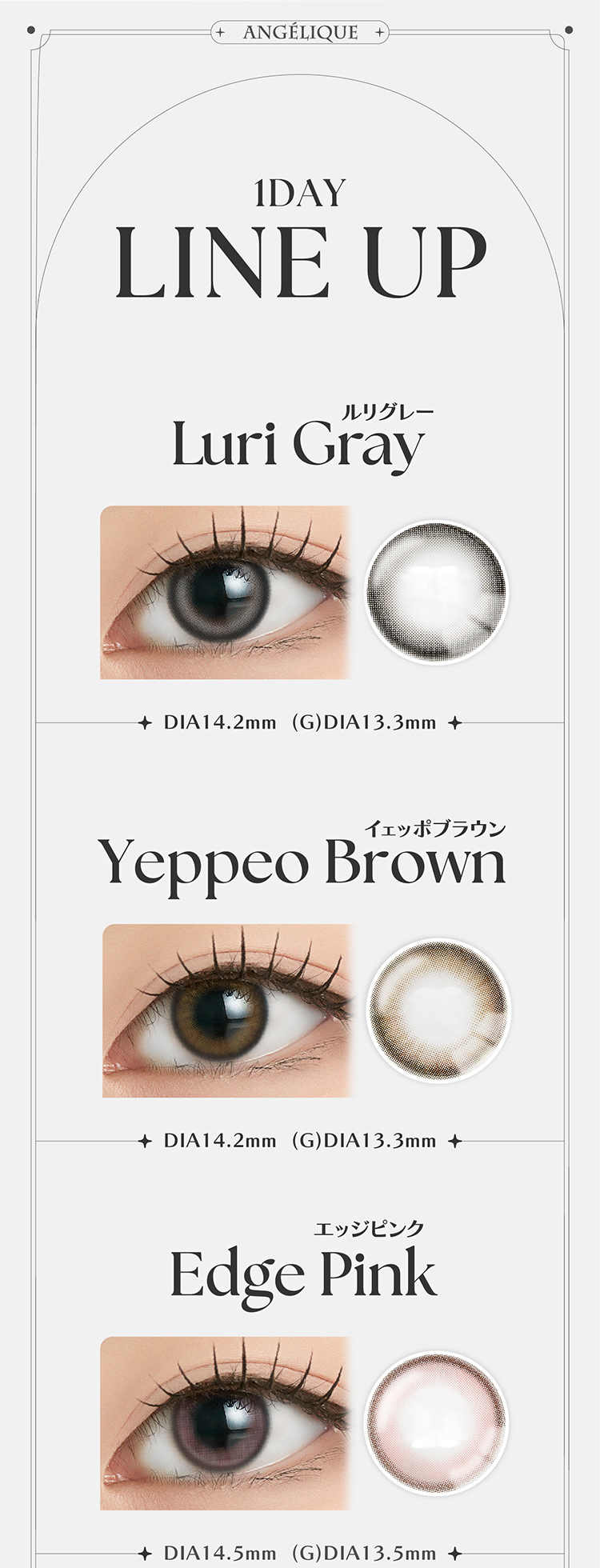アンジェリークの全色カラーラインナップ