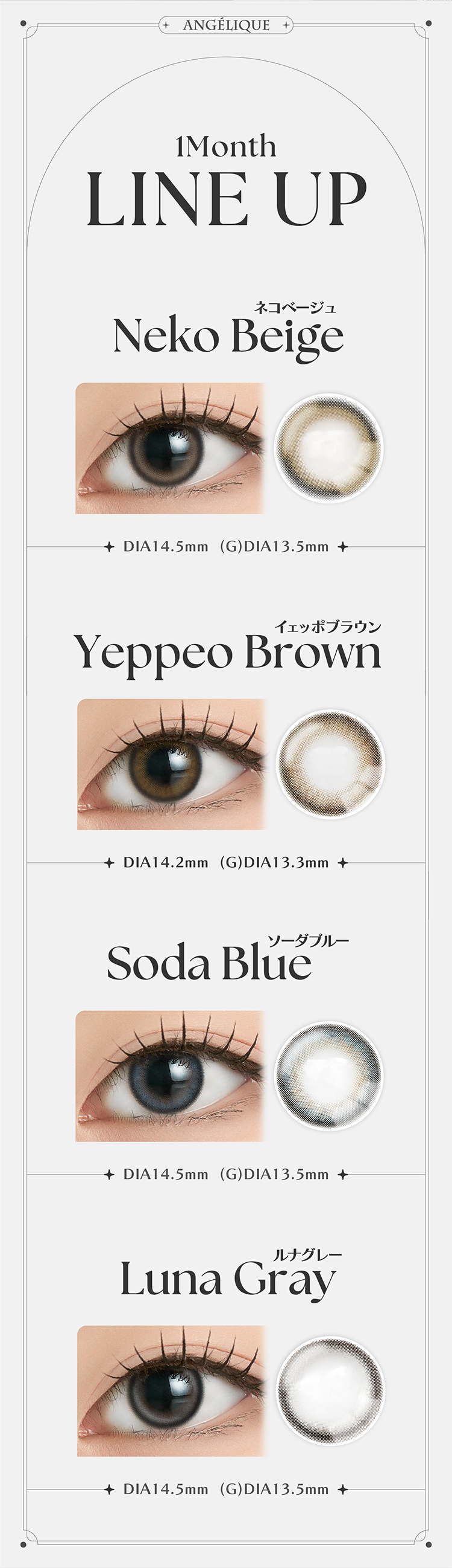 アンジェリーク全色カラーラインナップ