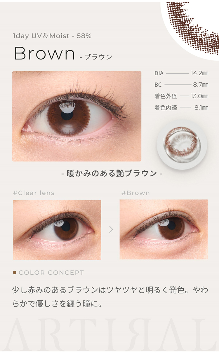 アーティラルワンデーUVモイスト58「ブラウン」