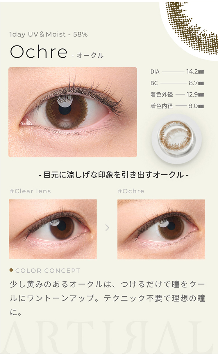 アーティラルワンデーUVモイスト58「オークル」