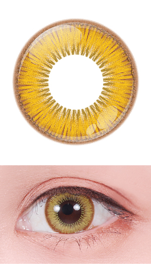 リリーイエロー