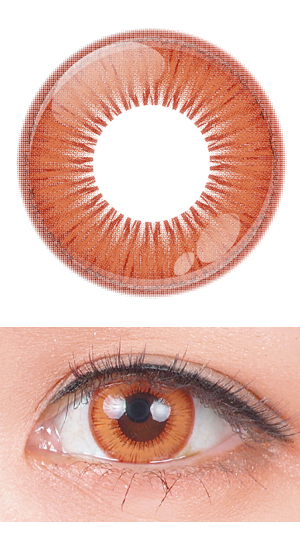 シェルアンバー