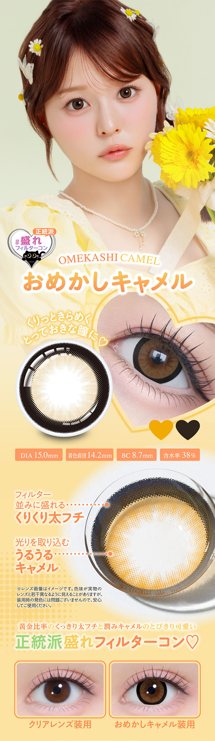 シャプン「おめかしキャメル」