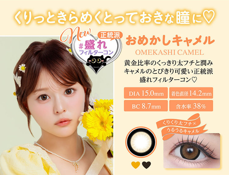 シャプン「おめかしキャメル」