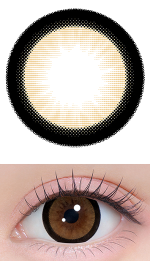 おめかしキャメル