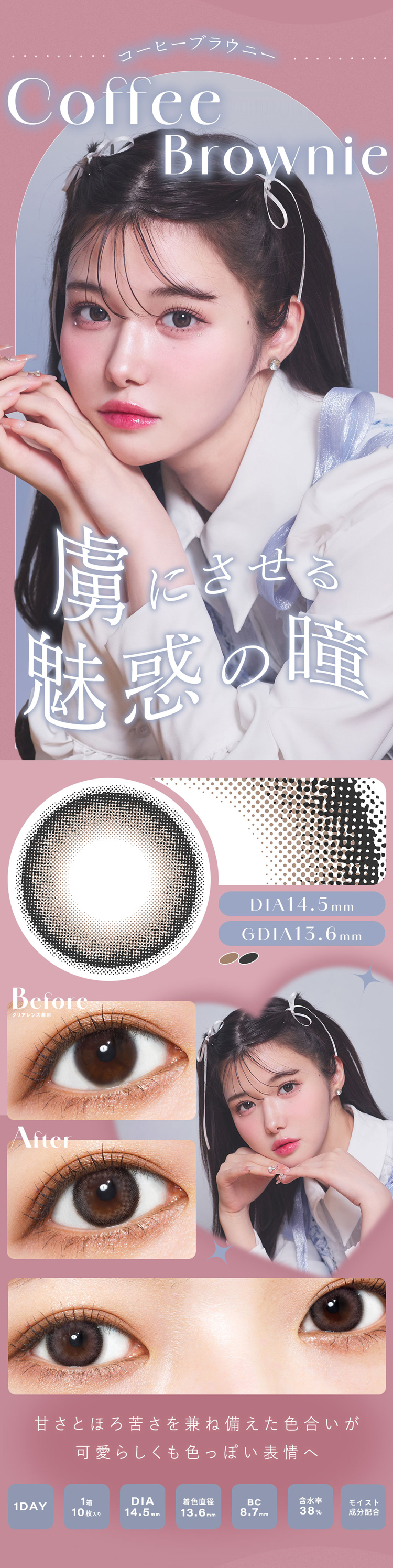 シャルトンワンデー「コーヒーブラウニー」