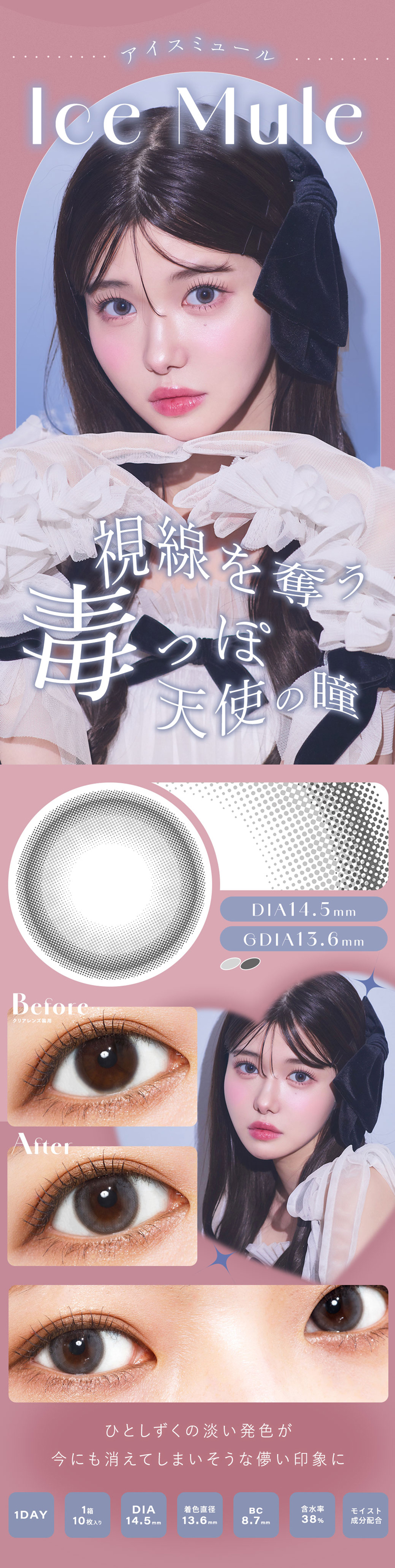 シャルトンワンデー「アイスミュール」