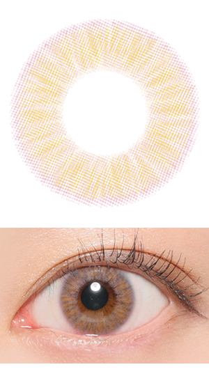 ラベンダーキス