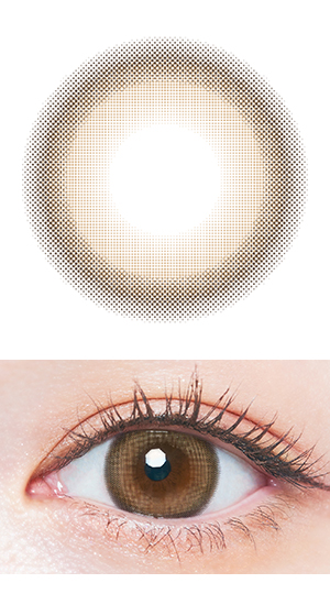 メロウキャメル