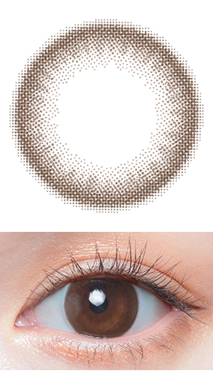 チョコブラウン