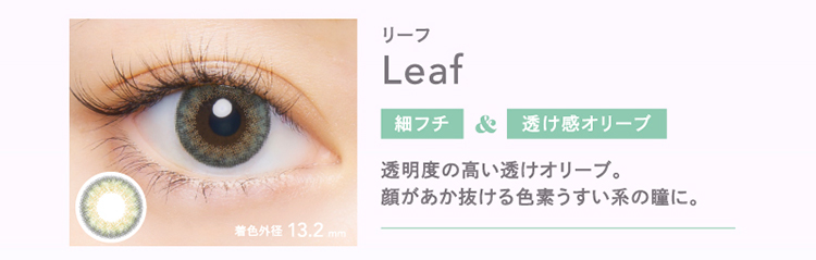 クルーム「リーフ」