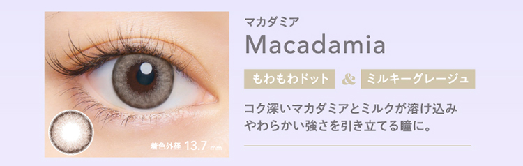 クルーム「マカダミア」