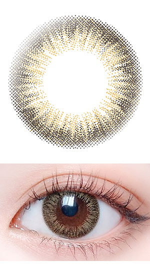 ルシールオークル