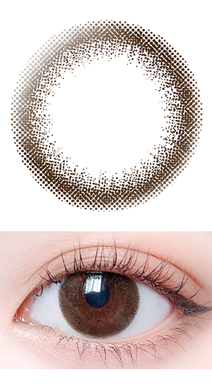 シックブラウン