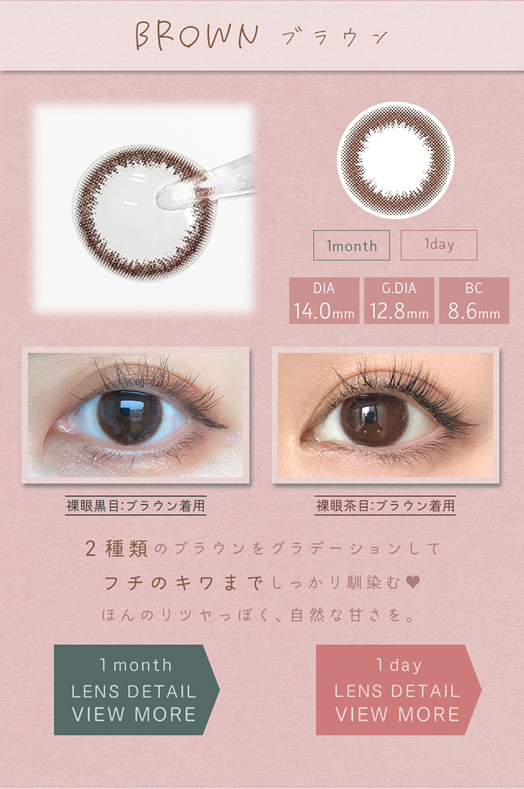 アイメイクマンスリー「ブラウン」