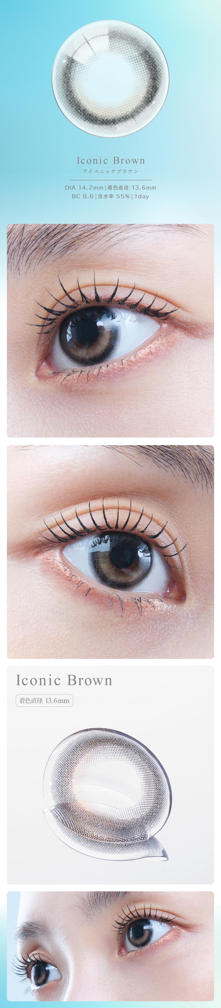 アイスター「アイコニックブラウン」