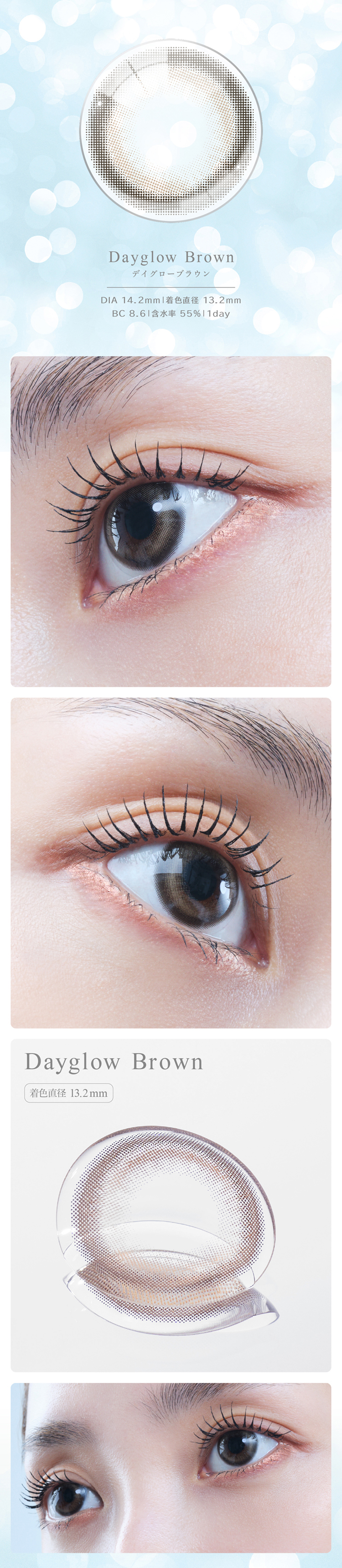 アイスター「デイグローブラウン」