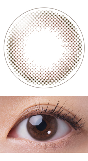 リトルブラウン