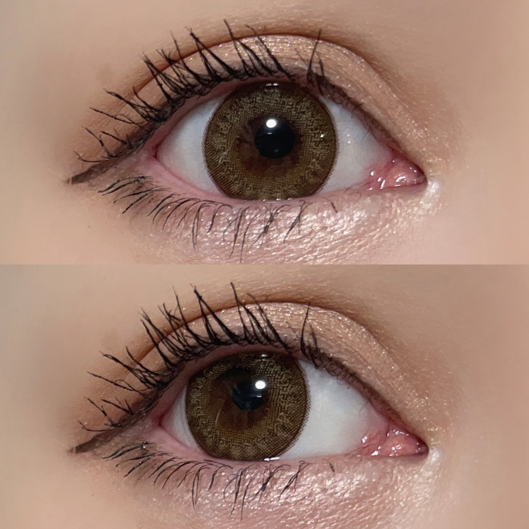 チェスナット装着画像1