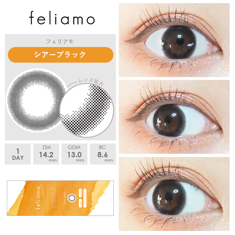 シアーブラック装着画像1