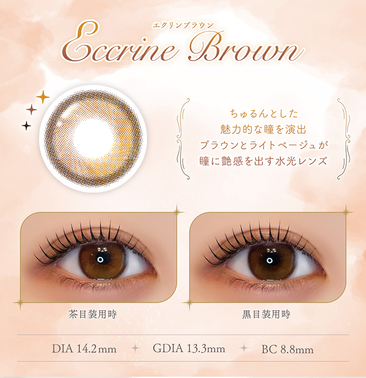 フェレーヌ「エクリンブラウン」