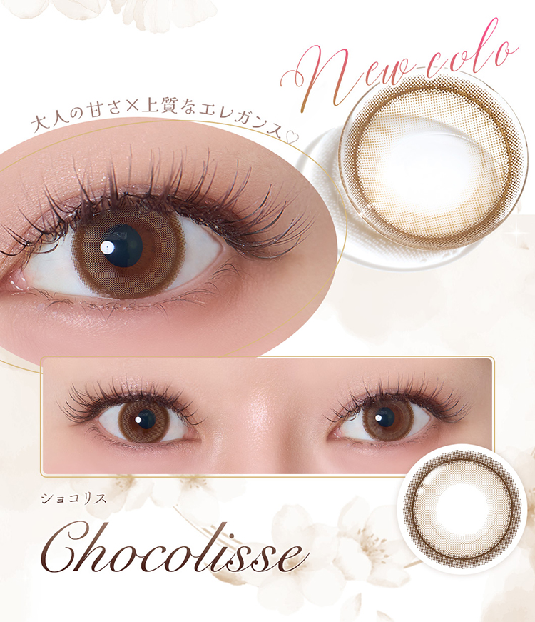 フェレーヌ「ショコリス」