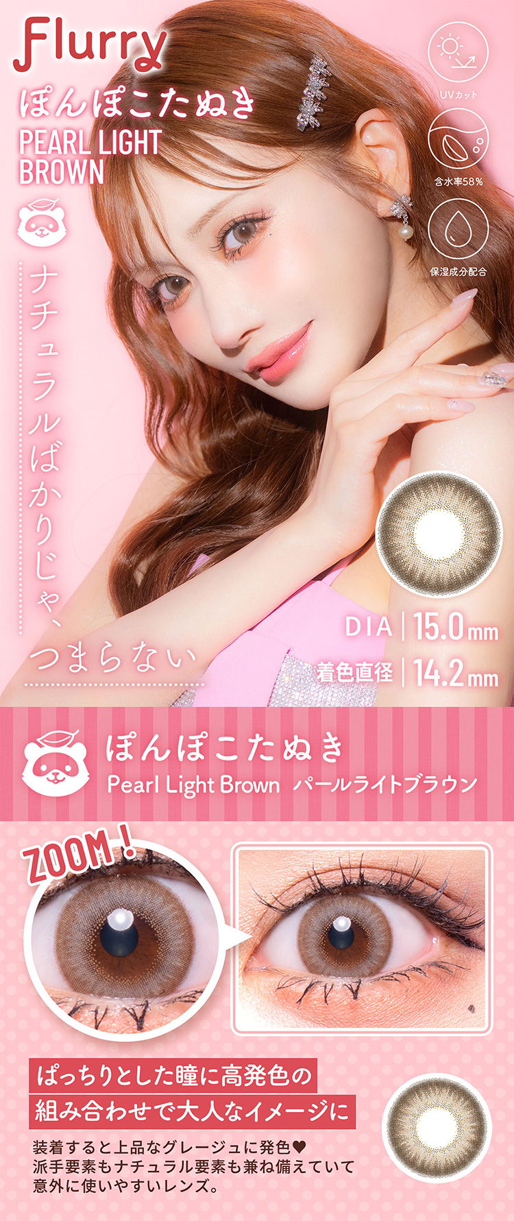 フルーリー「ぽんぽこたぬき」