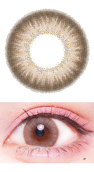 ぽんぽこたぬき/パールライトブラウン