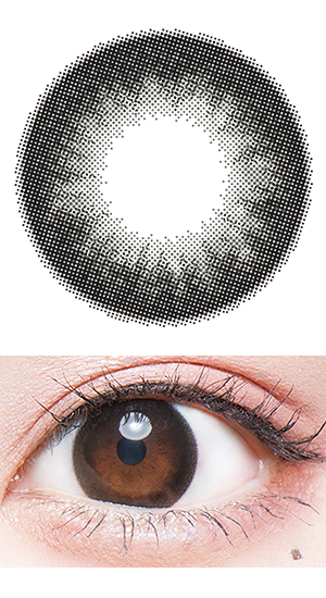 わんぱくコアラ/チュールブラック