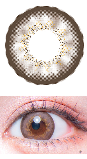 もっとぽんぽこたぬき