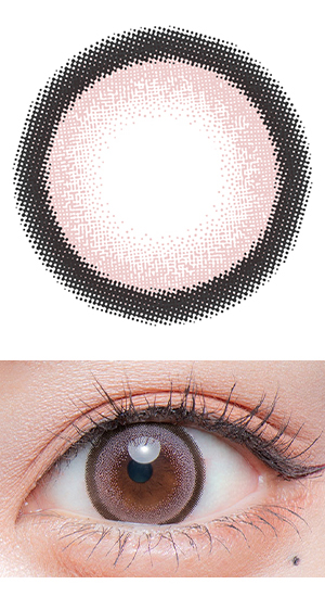 もっと愛されうさぎ