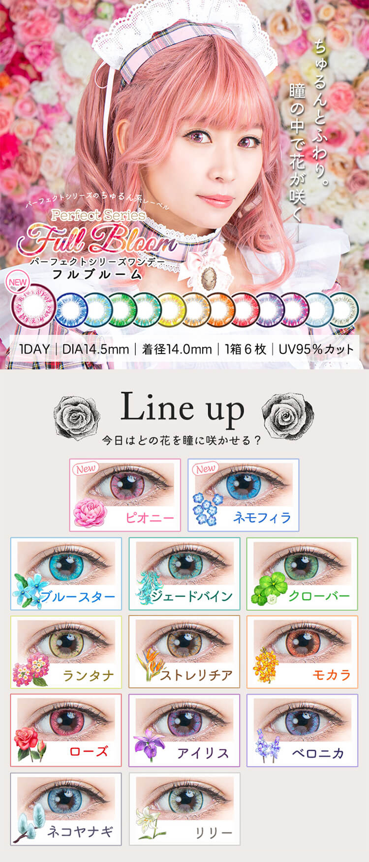 ちゅるん系レーベル「パーフェクトシリーズワンデー フルブルーム」