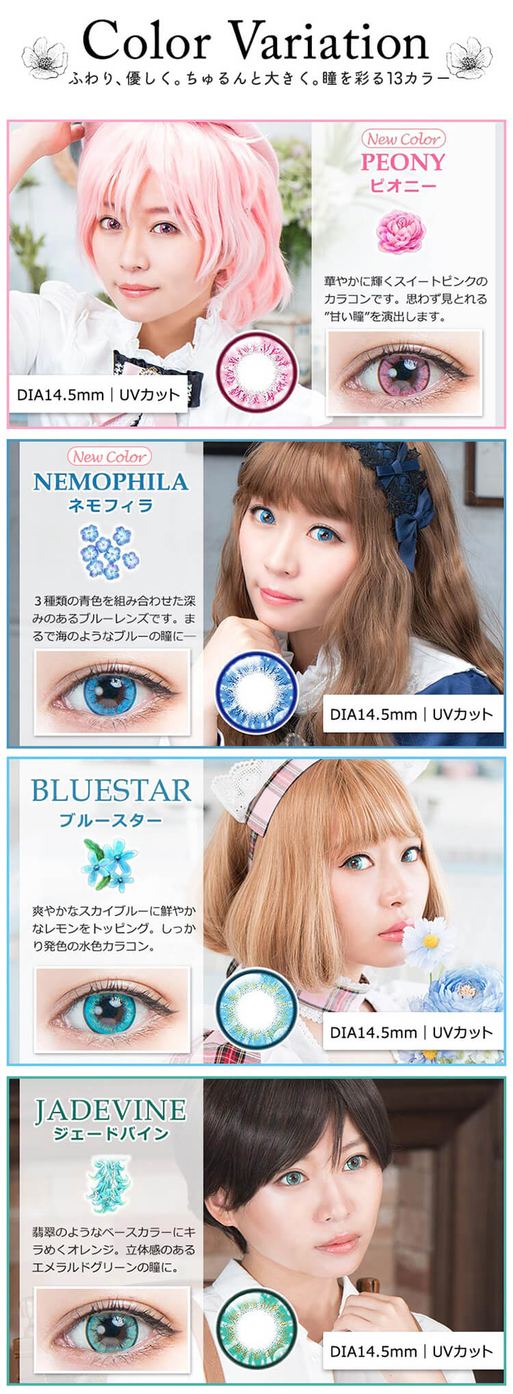 フルブルームのカラーバリエーション