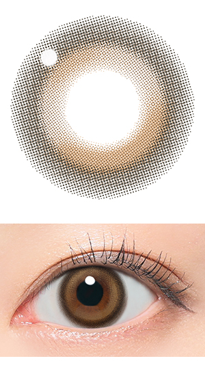 ドリーミーベア