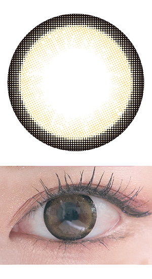 ぱっちりにゃんこ