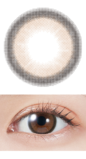 ブラウンバニー