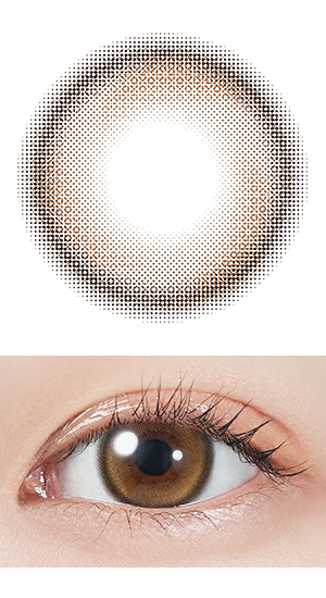 トゥインクルブラウン