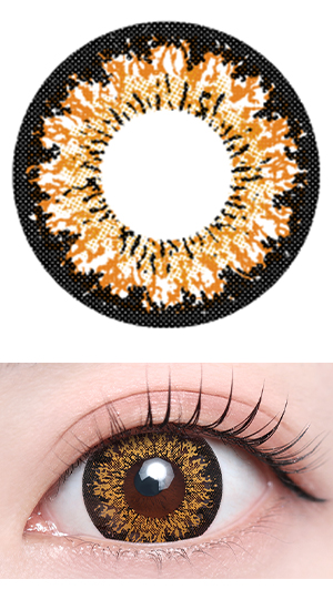 ハッピーブラウン