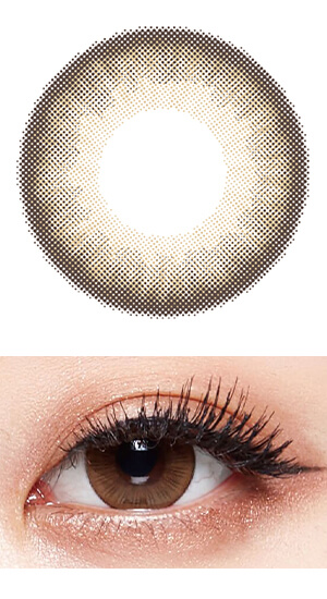 チョコモピルブラウン