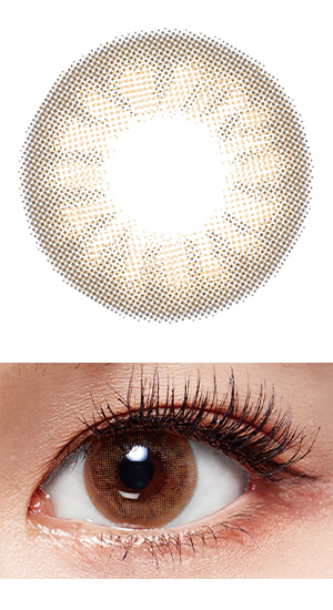 クリームモピルブラウン