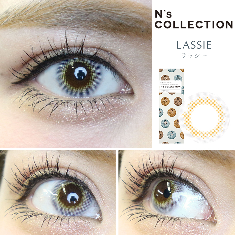 ラッシー装着画像2