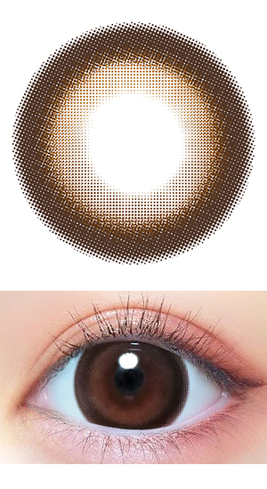 プリドーリーブラウン