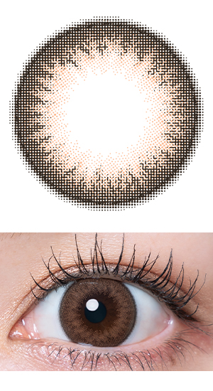 シャルムブラウン